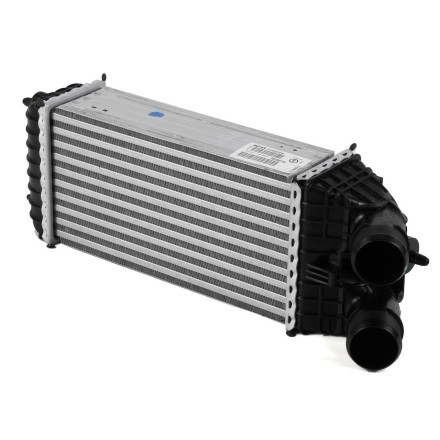 9803900780 PSA РАДІАТОР ТУРБ.