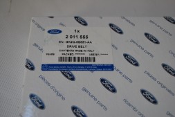 Ремінь приводу масляного насосу&quot;Transit 2014 - (TTG)&quot;