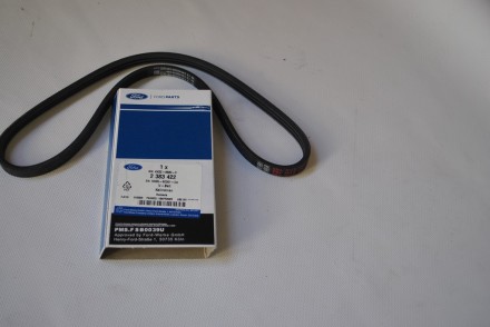 2383422 Ford Ремінь приводу водяного насосу &quot;Transit 2019- (TTS