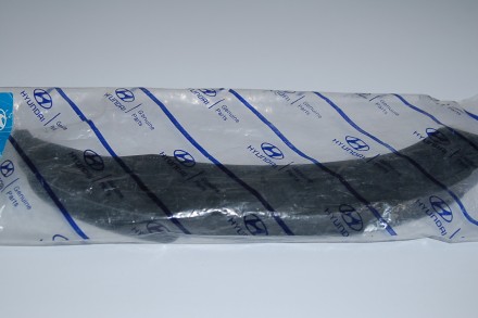 248203C100 Hyundai/Kia Заспокоювач ланцюга ГРМ 24820-3C100 Hyundai/Kia