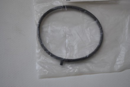 16175WE001 Nissan Гумове кільце ущільнююче