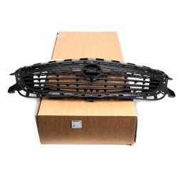 RADIATOR GRILLE