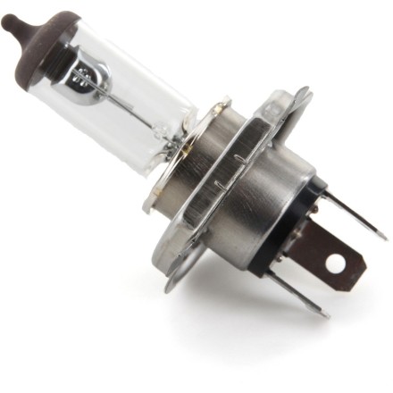 621699 PSA 