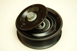 Ролик ременя приводу загального 25289-25000 Hyundai/Kia