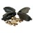 42439338 PSA 4 BRAKE PADS/F