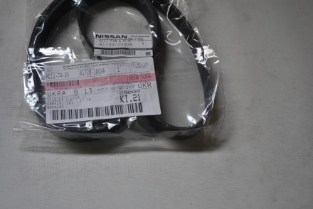 A172010QVA Nissan Ремінь поліклиновий 7PK1569