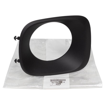98555680XT PSA LIGHT MOULDING